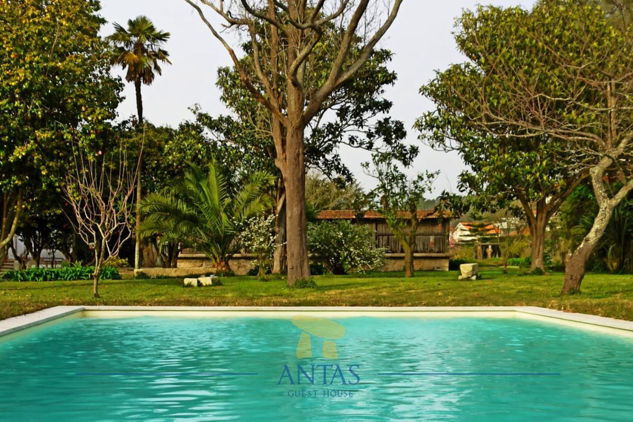 Antas Guest House Esposende Esterno foto