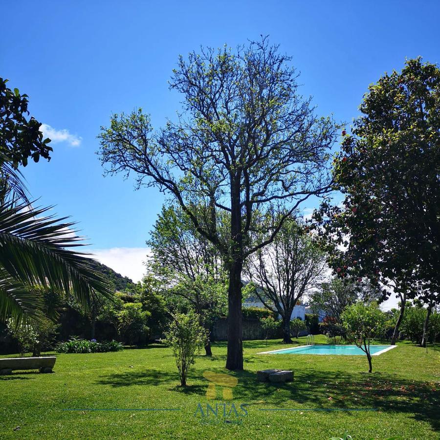 Antas Guest House Esposende Esterno foto