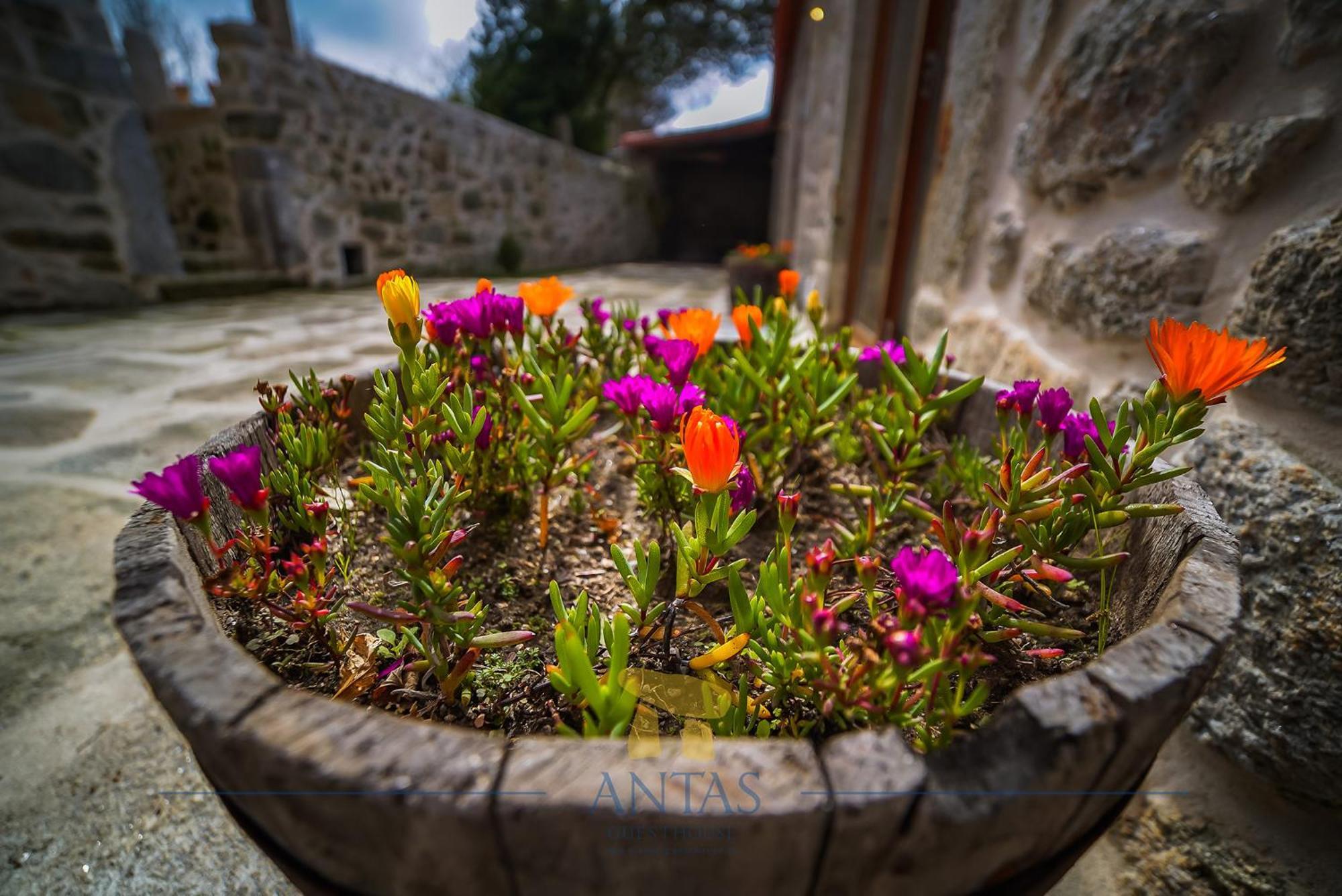 Antas Guest House Esposende Esterno foto